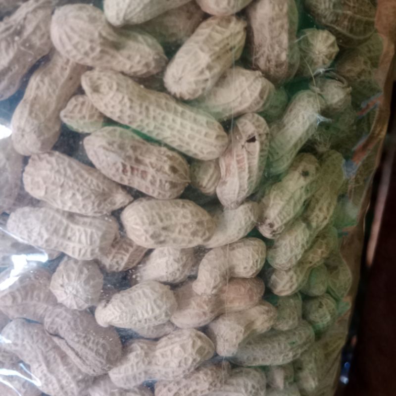 

Kacang garing oven gurih 250gram