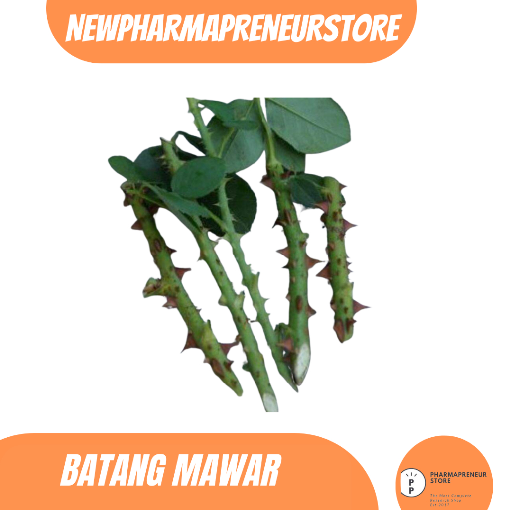

DRIED SERBUK BATANG BUNGA MAWAR BEST QUALITY