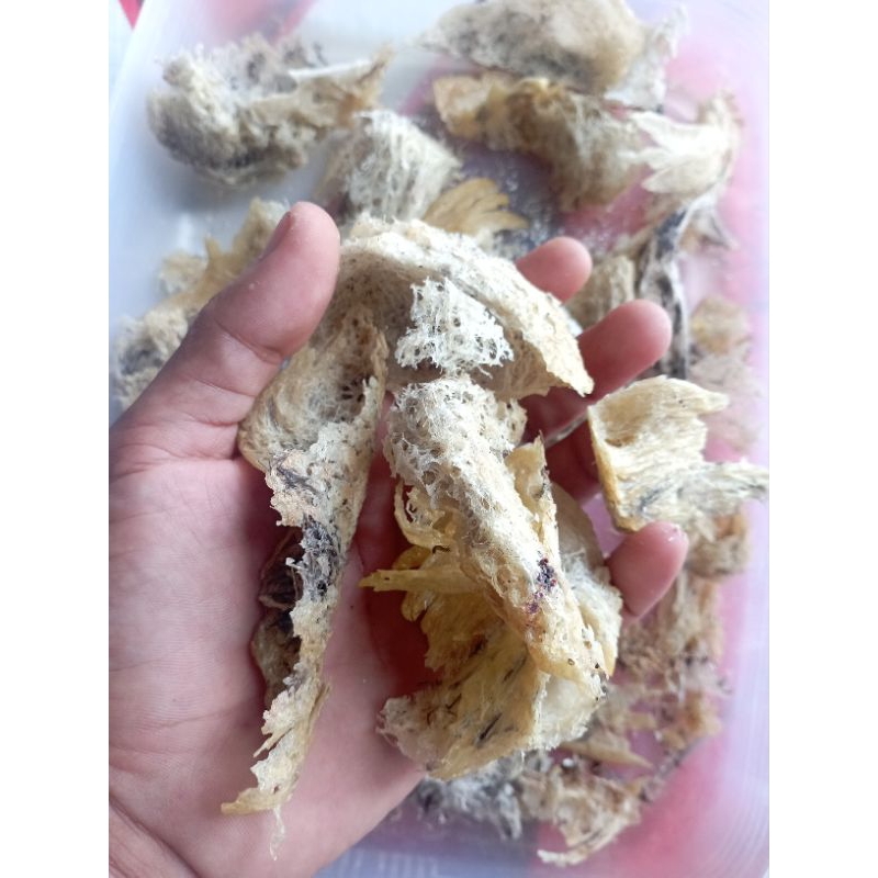 

Sarang Walet Patahan Besar Alami Dari Alam (per 1 gram)