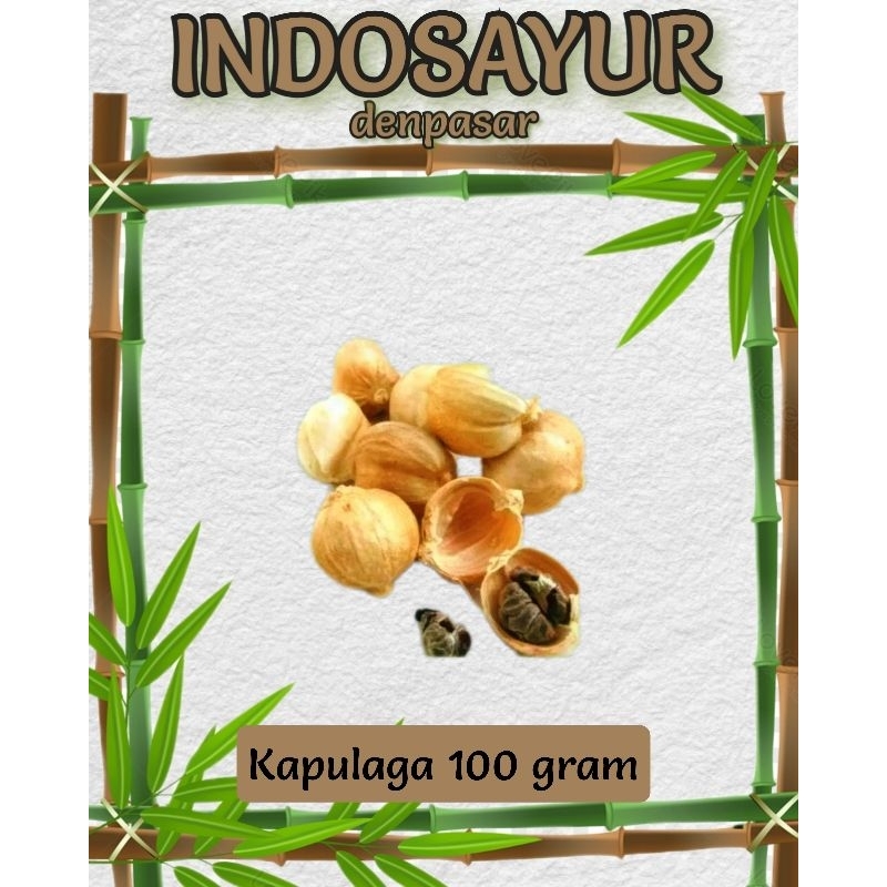 

Kapulaga putih _ INDOSAYUR