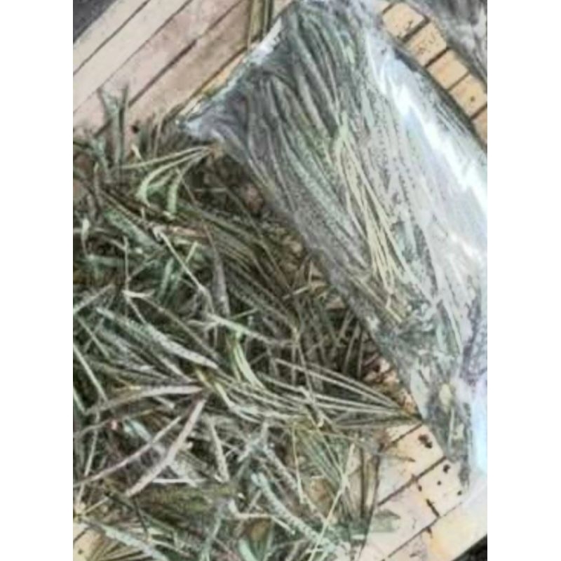 

PUTRI MALU atau MIMOSA PUDICA Tanaman herbal kering 500gr