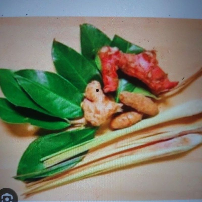 

Aneka Rempah bumbu dapur segar lengkap