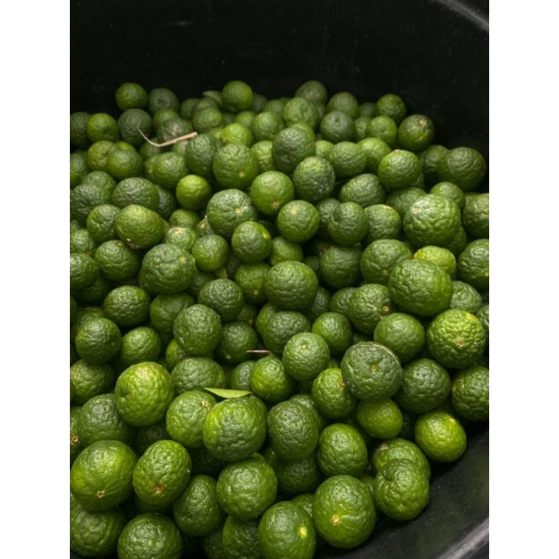 

Jeruk Limo Fresh Langsung Dari Petani Per 1 Kg