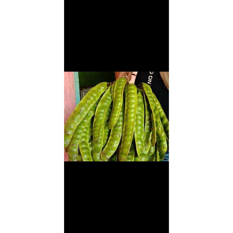 

pete fresh seikat isi 10 papan