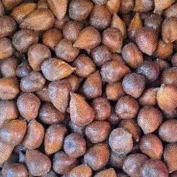 

salak