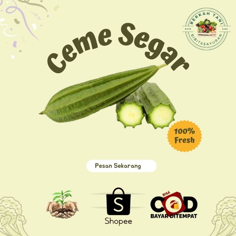 

BERKAH_TANI Sayur ceme