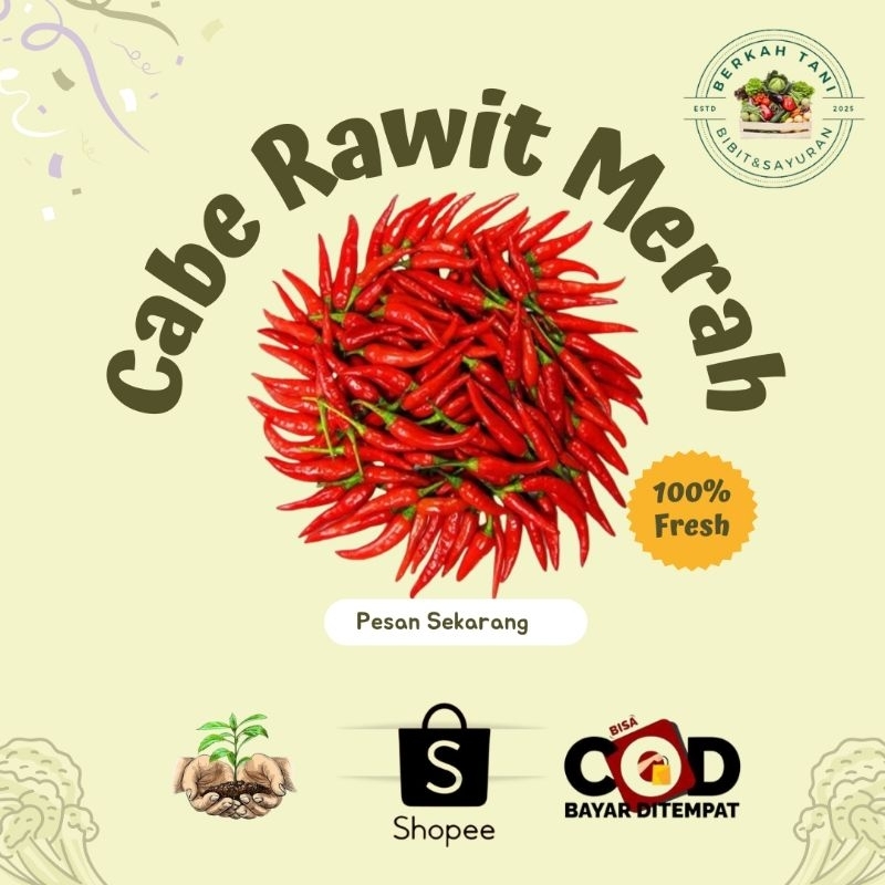 

BERKAH_TANI Cabe Rawit Merah Setan