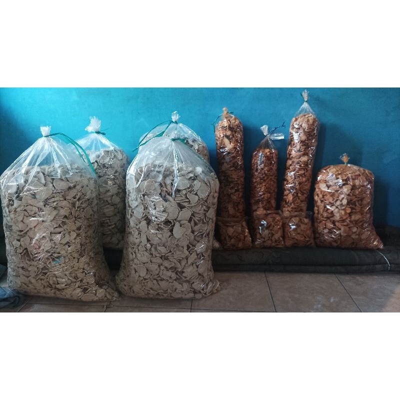

Basreng Koil 1KG Pedas Daun Jeruk