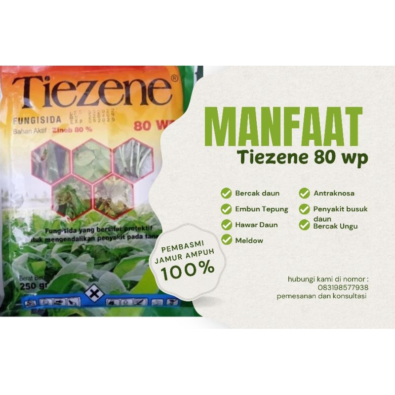 Pelindung Tanaman dari Jamur Berbahaya  Fungisida Tiezene 80 WP Berbahan Aktif Zineb, Fungisida Meng