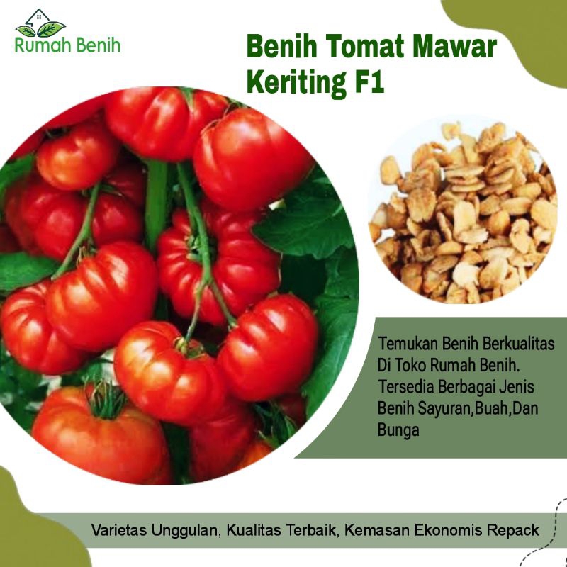Benih Tomat Mawar Merah Keriting Super F1 / Bibit Benih Tomat Mawar / Biji Benih Tomat Keriting Mera