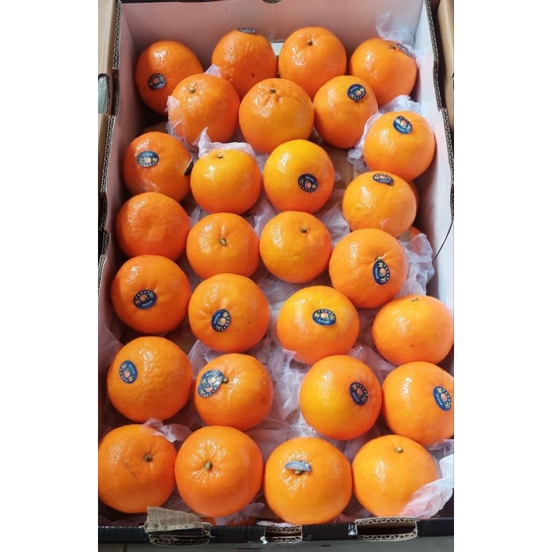 

ALID BUAH - JERUK WOGAN KURLEB 1 Kg (isi 8-9 buah)