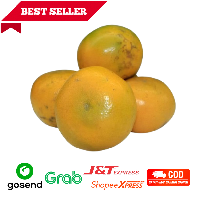 

Jeruk Medan Super Fresh 1kg Buah sehat