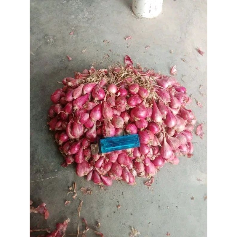 

bawang merah demak