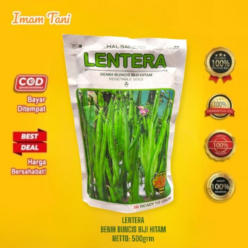 

LENTERA 500 GRM BENIH BUNCIS BIJI HITAM VEGETABLE SEED HALBANERO