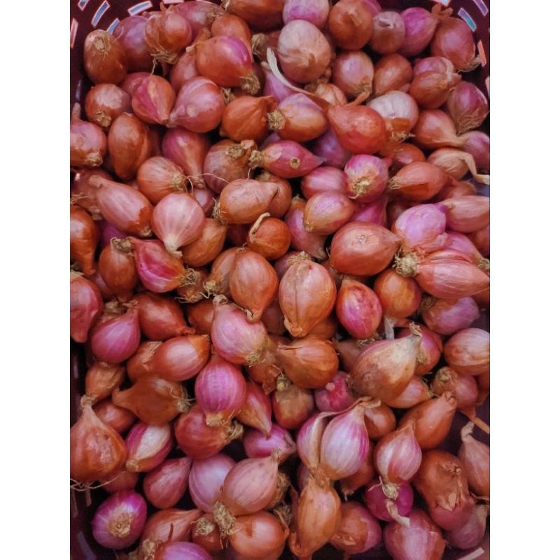 

bawang merah ukuran sedang bulat bulat 1kg