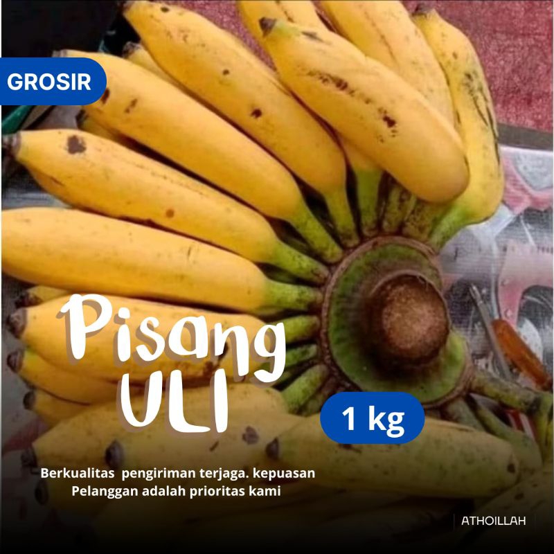

Pisang Uli 1kg / Sisir
