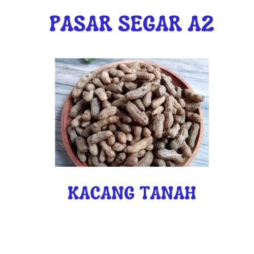 

KACANG TANAH KULIT PERLITER PASAR SEGAR MAKASSAR/PASAR TERONG ONLINE MAKASSAR