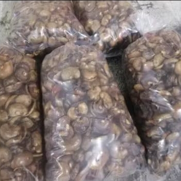 

cangkang kacang mete murah banget bahan bakar 100 kg