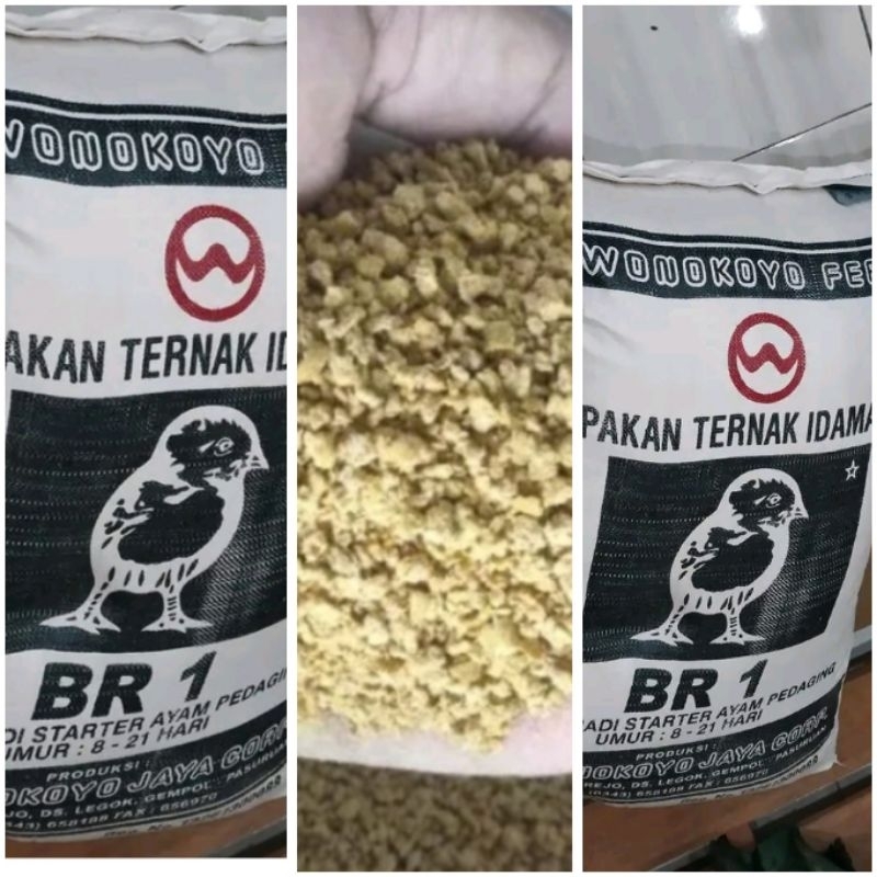 Br 1 starter pedaging wonokoyo pur pakan ayam 15 kg