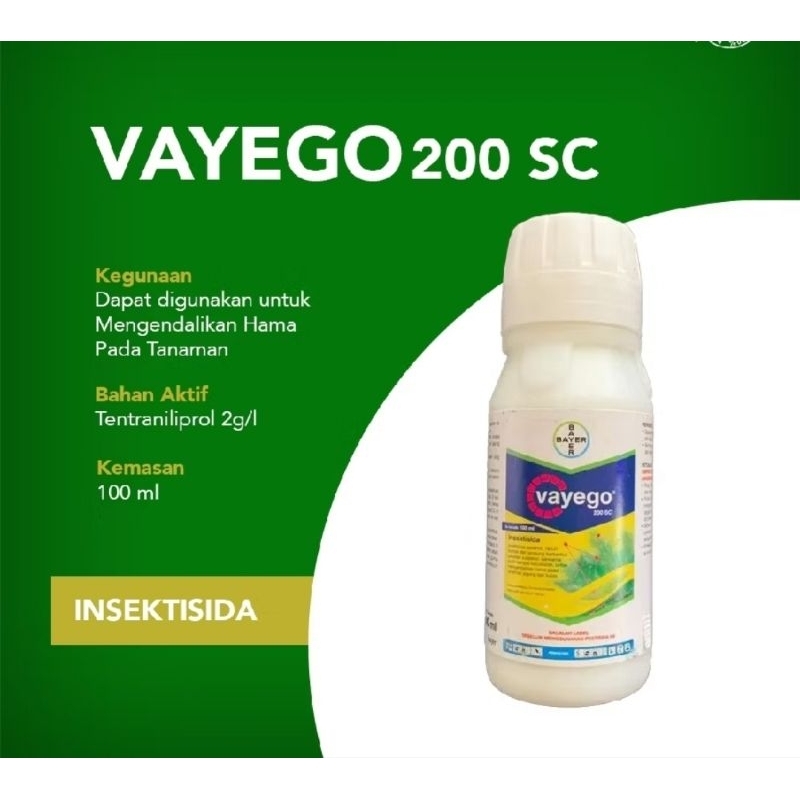 Hama tanaman | insektisida vayego