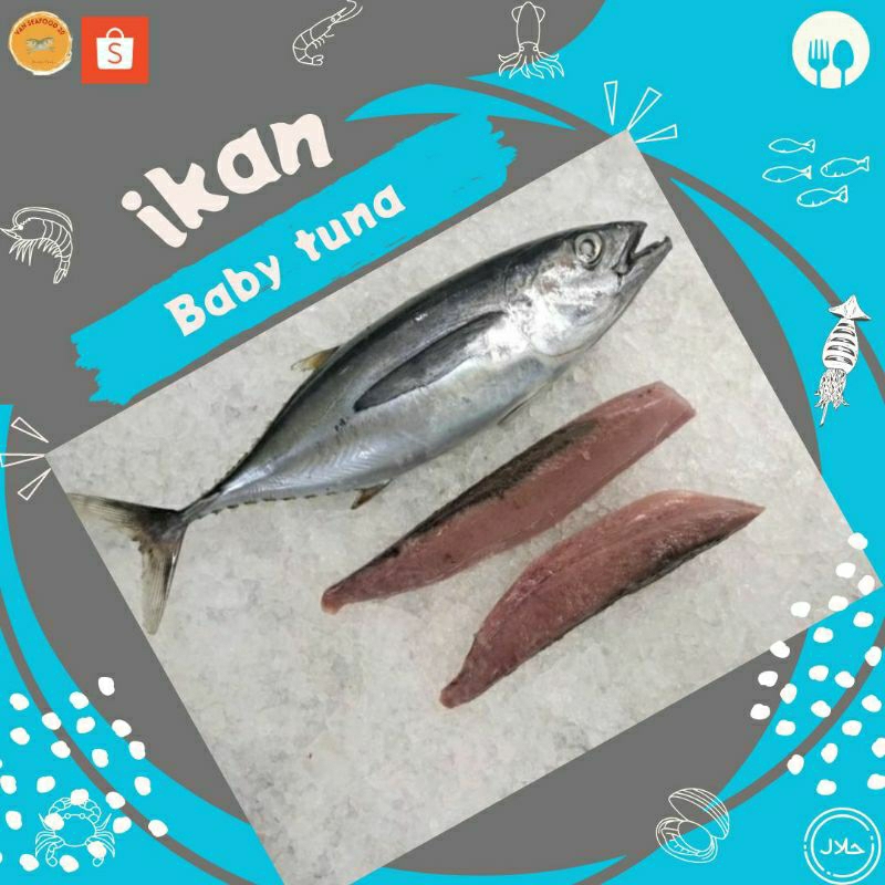 

Baby Tuna 1 kg isi 2-4 ekor || Kualitas segar || Vanseafood20