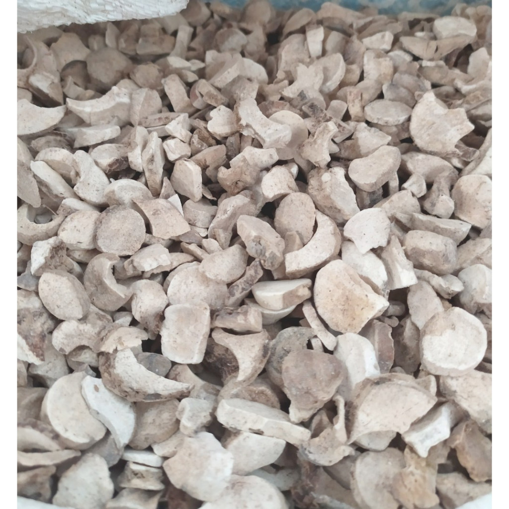 

Keladi Tikus iris kering 200gr