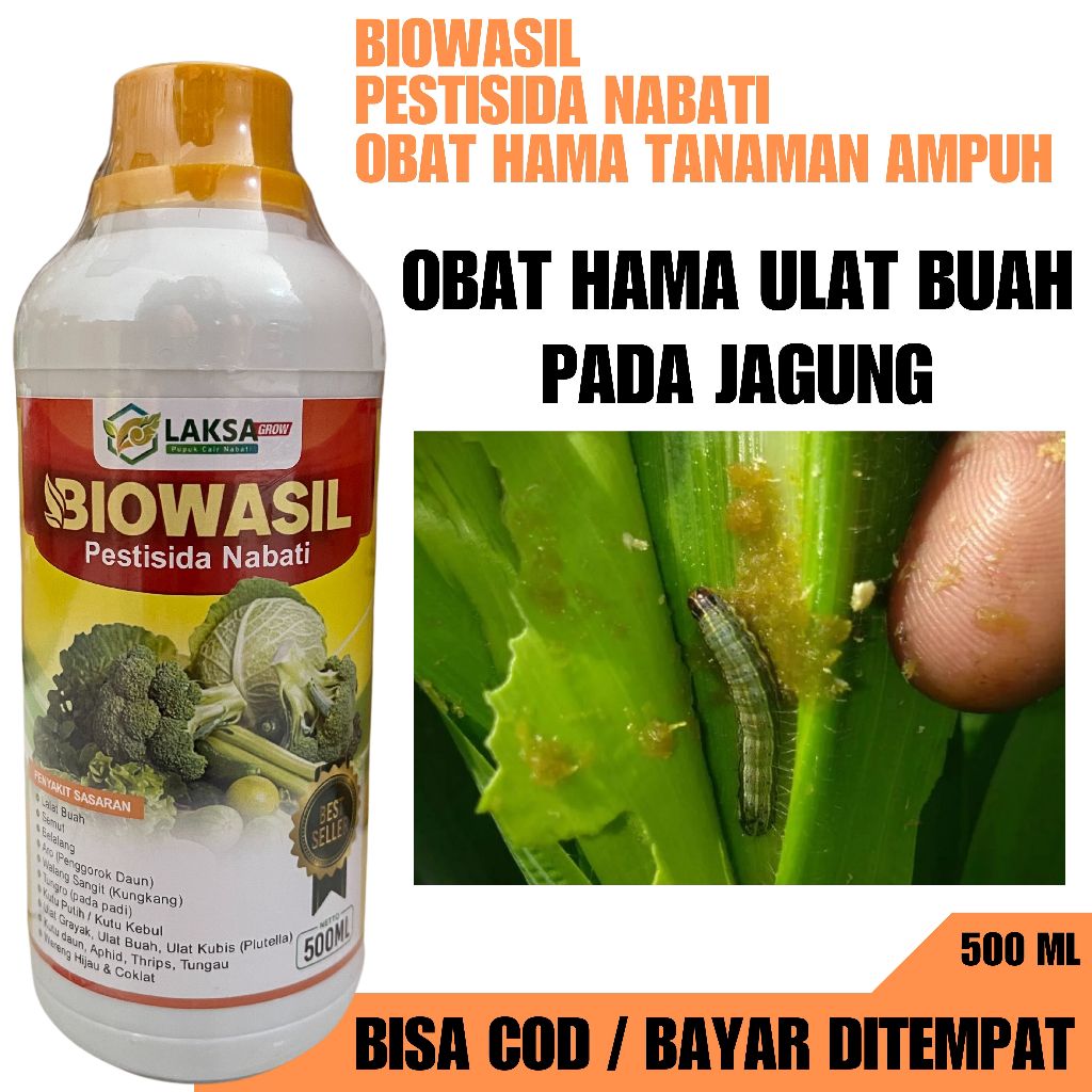 OBAT HAMA ULAT BUAH PADA JAGUNG 500 ML BIOWASIL - Obat Hama Jagung, Atasi Hama Ulat Paling ampuh