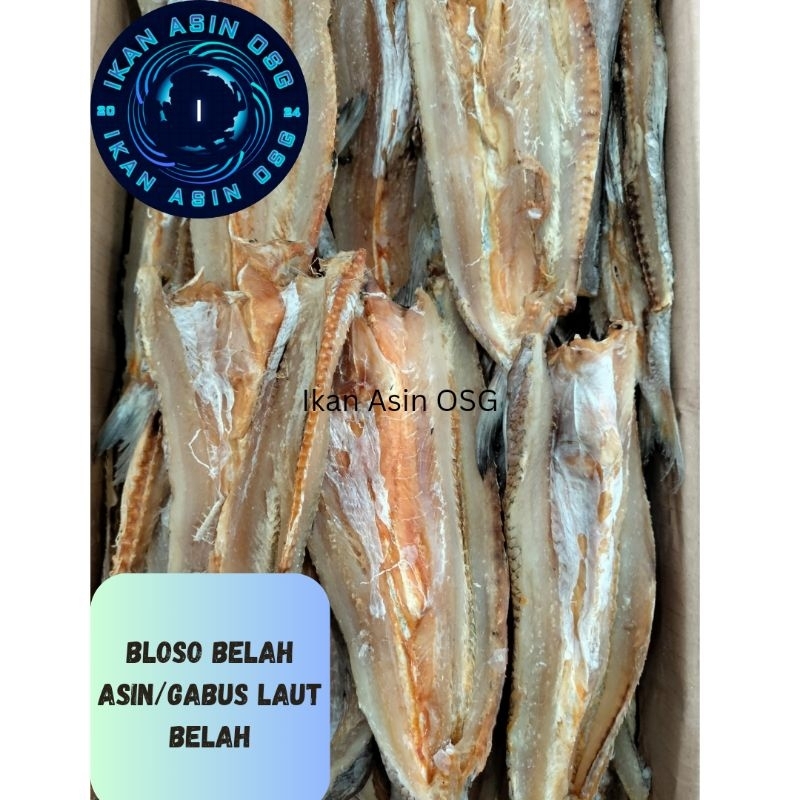 

Ikan Asin Bloso Belah/Gabus Laut /Palu-Palu Belah Super