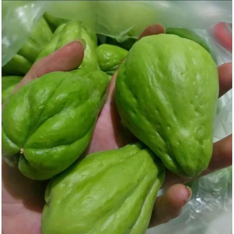 

Labu siam fresh 1000g