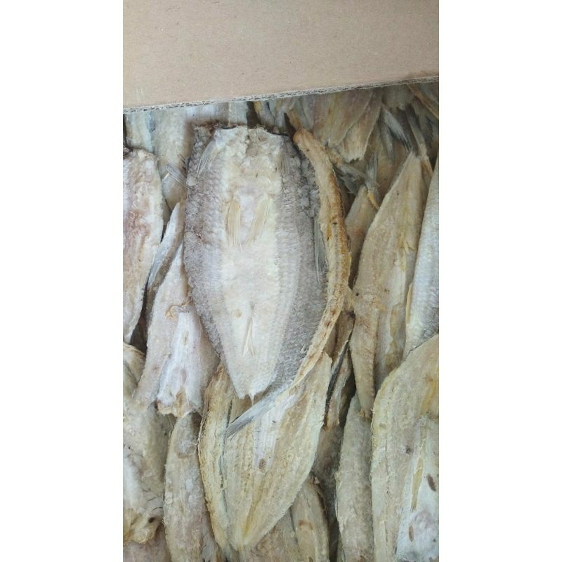 

Ikan Asin Gabus Laut/Ikan Asin Bloso Super 250 gram