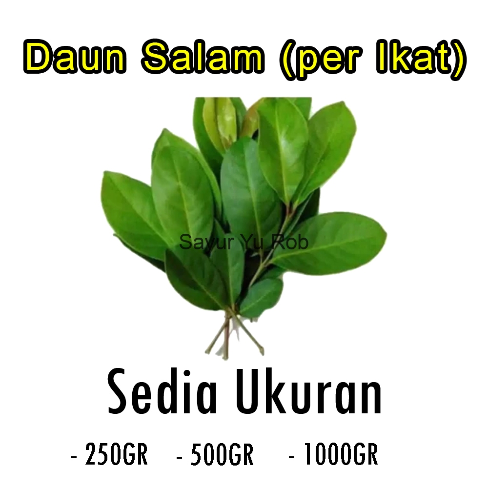 

DAUN SALAM SEGAR PER IKAT