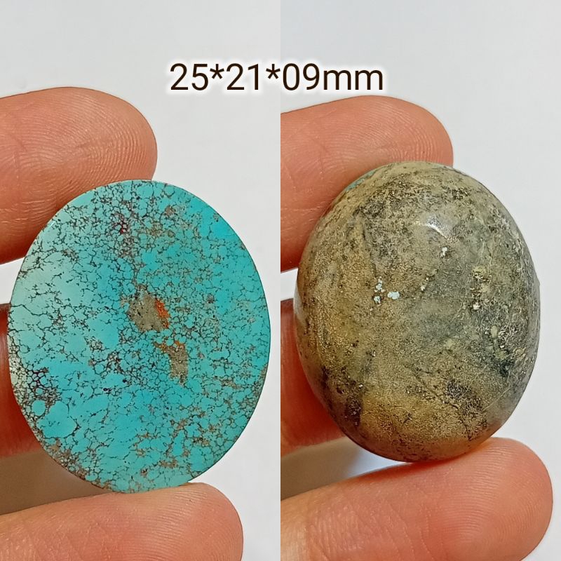 NATURAL PIRUS PERSIA TOSCA 4