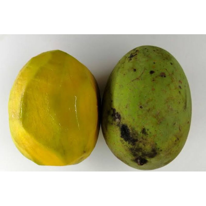 

BUAH KWENI 1KG
