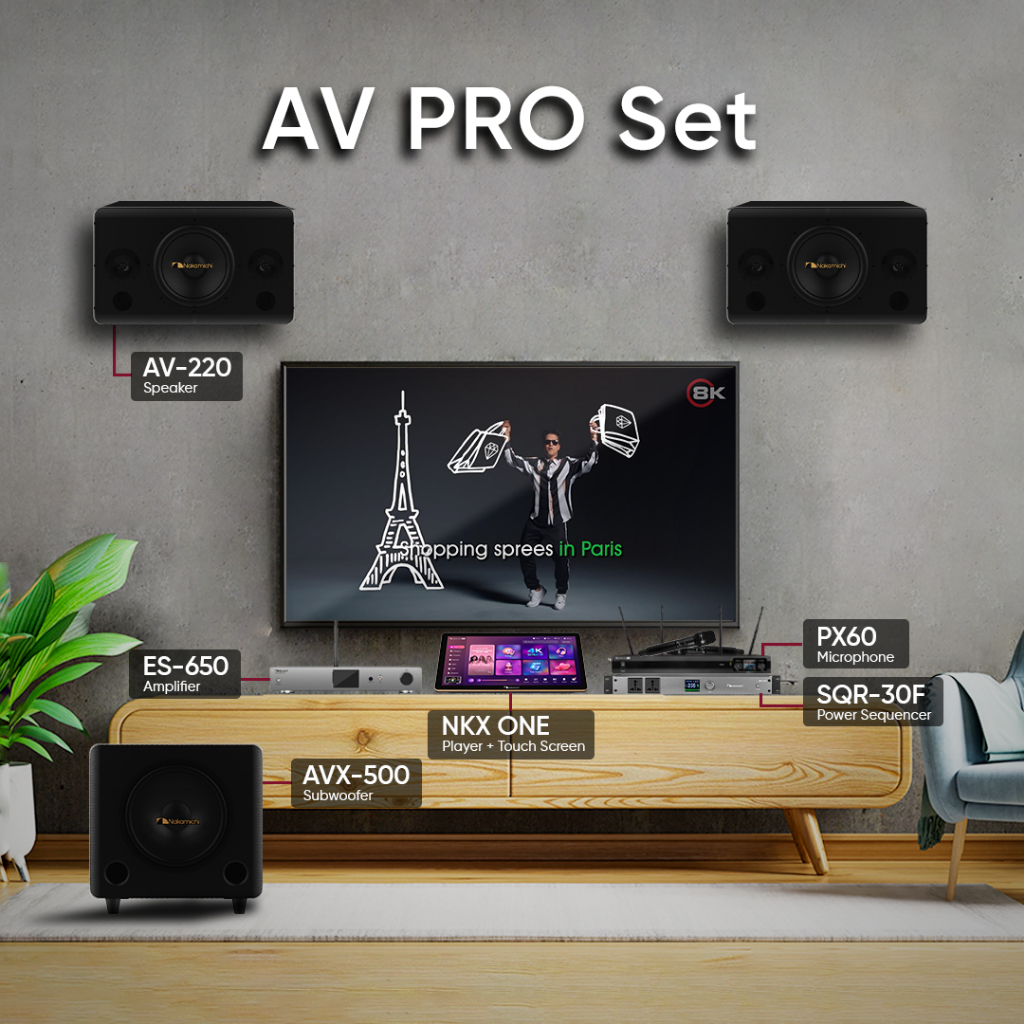 Paket Home Karaoke Nakamichi AV Set Pro