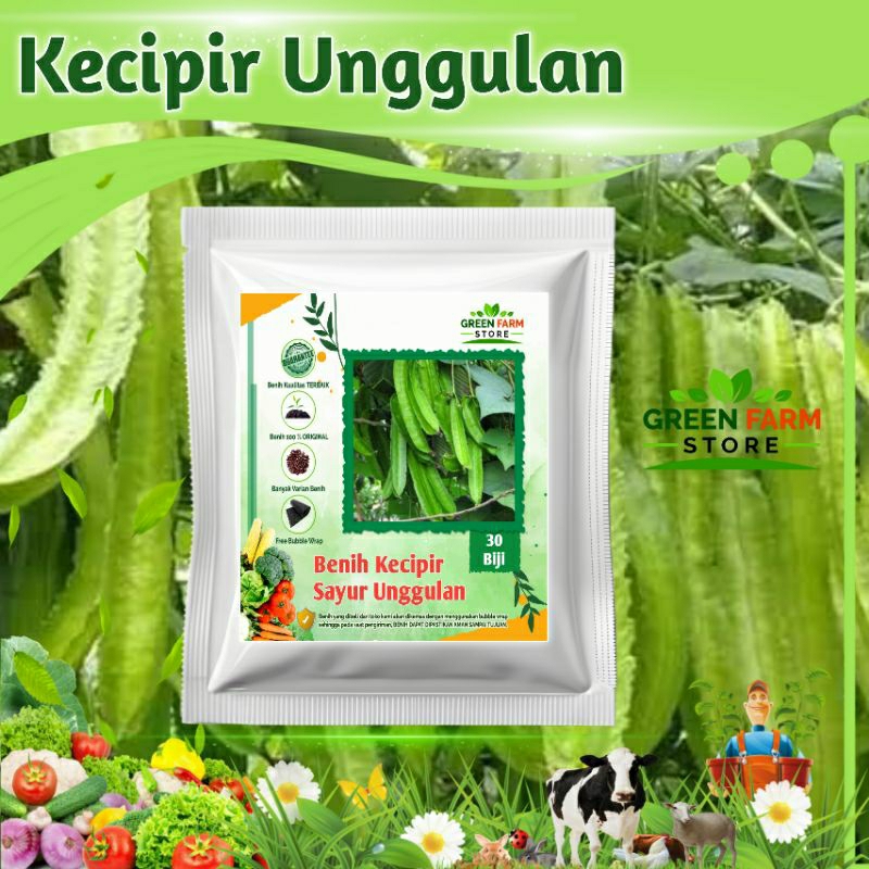Benih Kecipir Panjang Super Unggul (30biji)