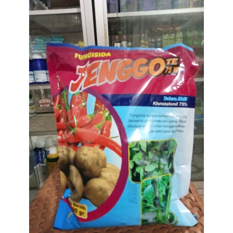 Jenggo 75WP Fungisida Klorotalonil 75 ℅