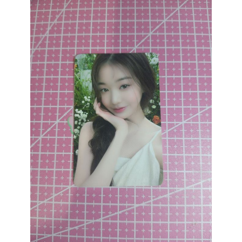 PC WONYOUNG OFFICIAL HAPA KRISTIN *read desk*