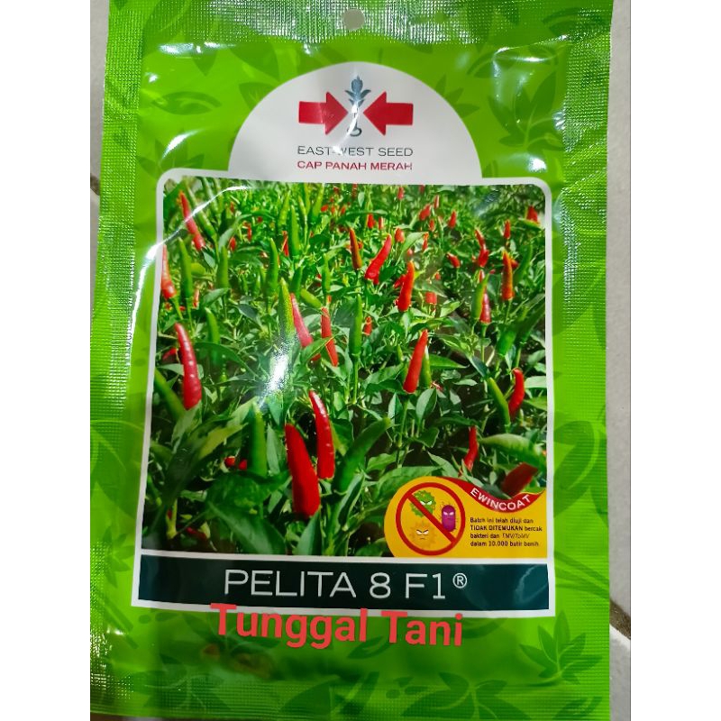 pelita8f1