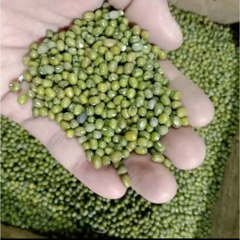 

Kacang ijo Lokal Berat 500g, 1 Kg, 2 Kg