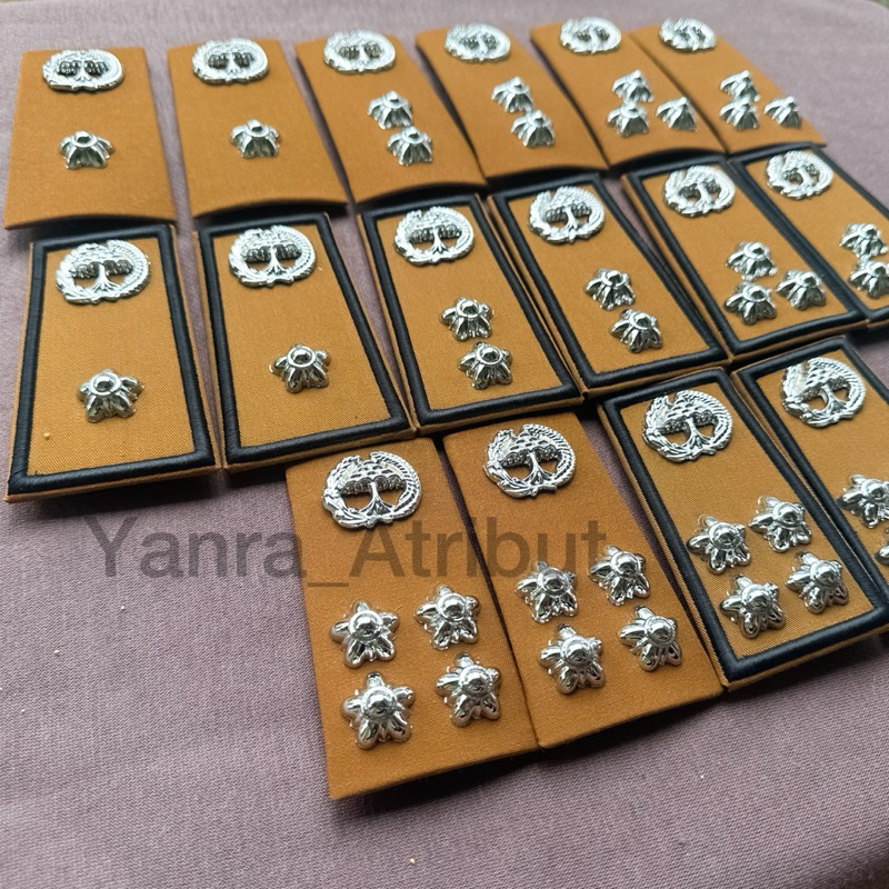 Pangkat Pns Lampung / Pangkat Asn Lampung Golongan 3a 3b 3c 3d Premium Luxury