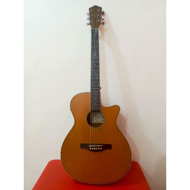 Gitar Ibanez AEG8E-LG Original Murah Istimewah