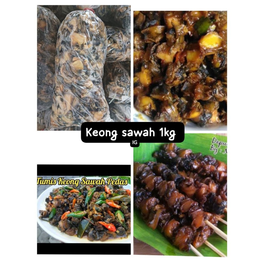 

Frozen 1kg Keong Sawah, Ready Stock Delivery Jogja