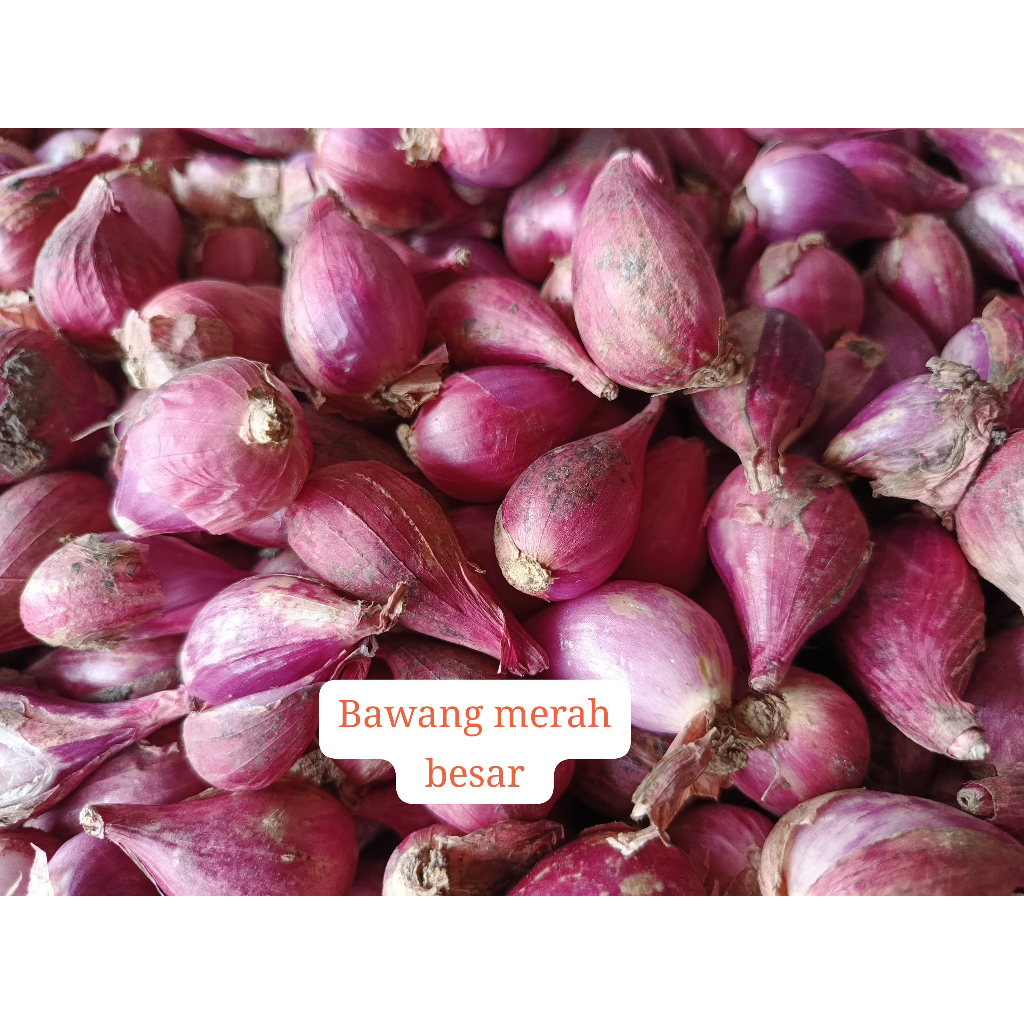 

BAWANG MERAH 1000 GRAM/1 KILO CAMPURAN