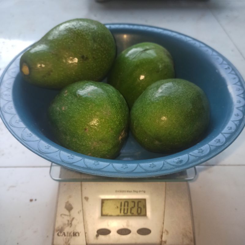 

(1 Kg) Alpukat mentega besar Isi 4 (mentah & garansi rusak di ganti)