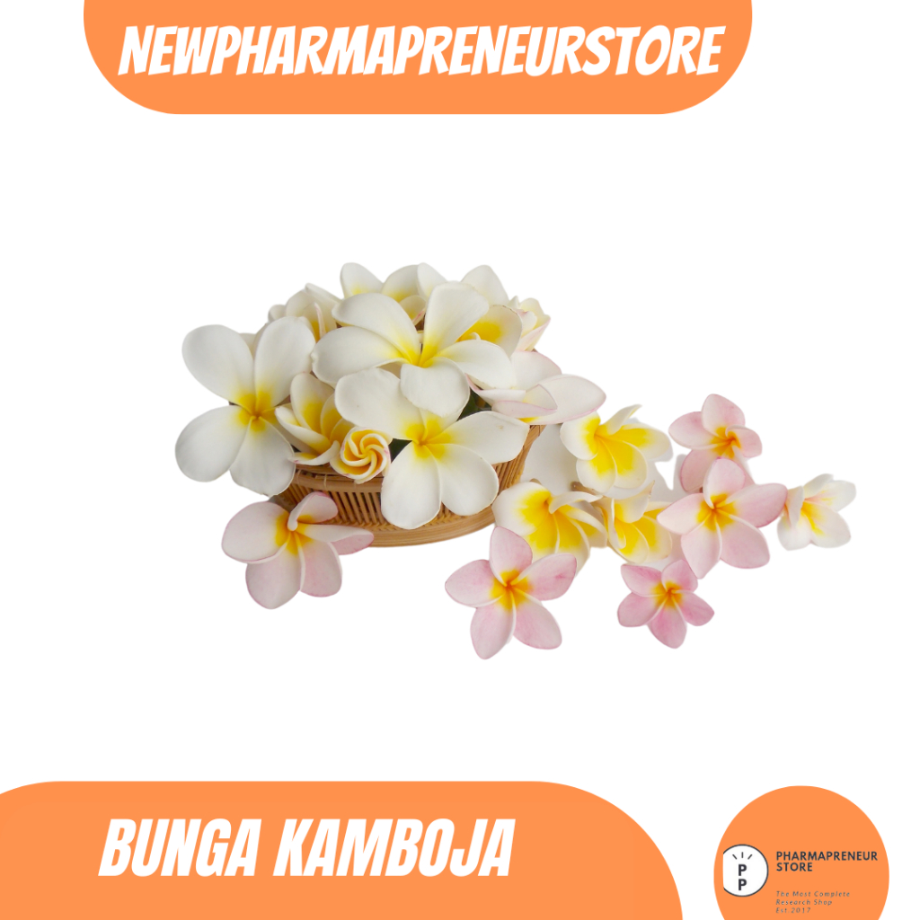 

DRIED SERBUK BUNGA KAMBOJA BEST QUALITY