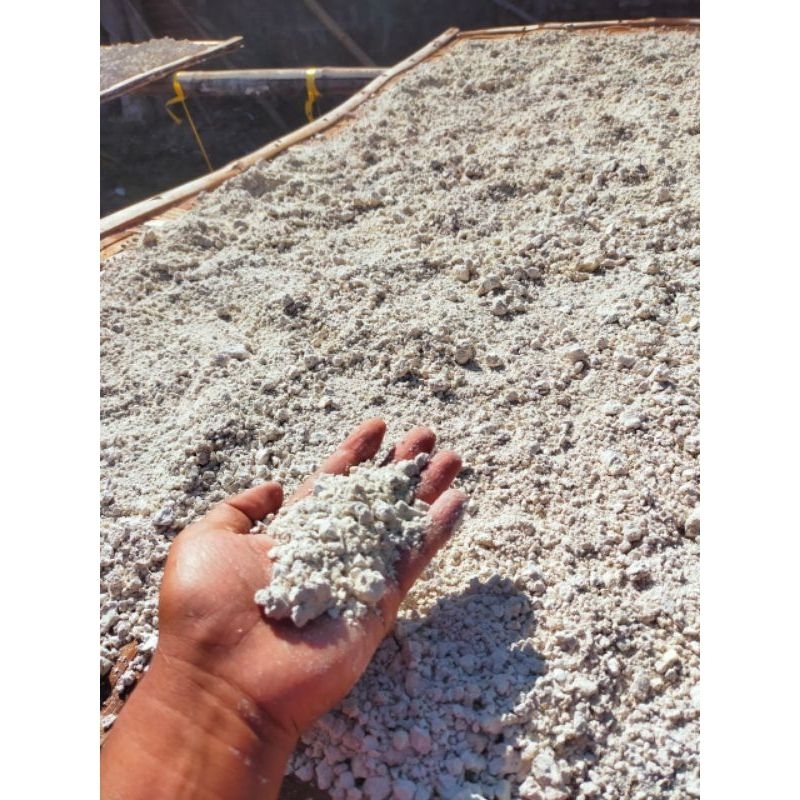 

TEPUNG LAMUK KERING 1KG BAHAN DASAR KRUPUK LAMUK SINGKONG KHAS KEDIRI KALIBOTO