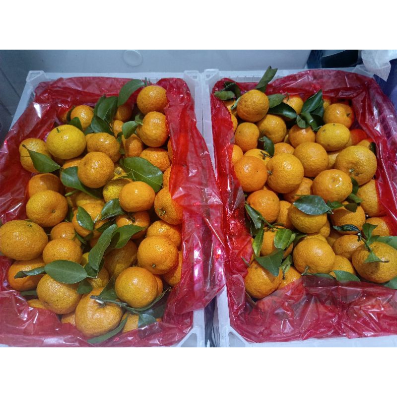 

jeruk tangerine mandarin manis