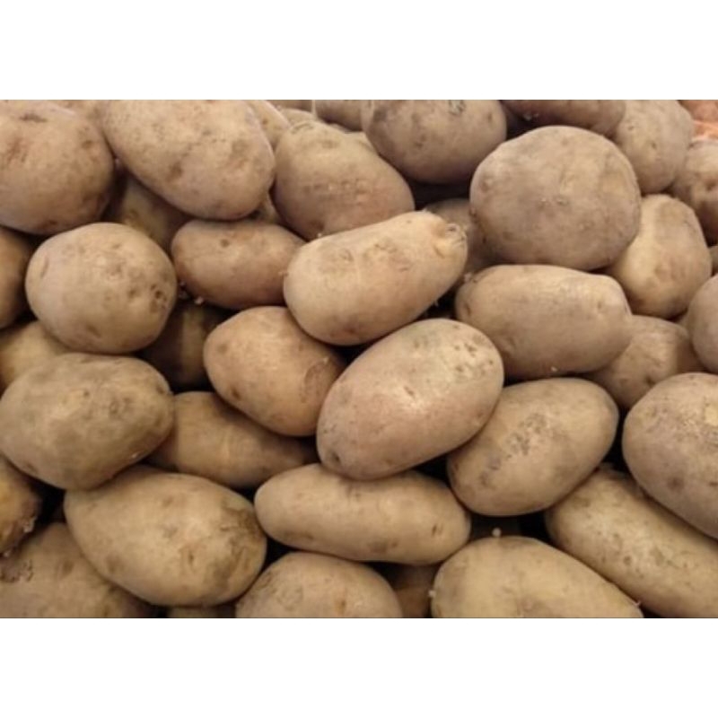 

Kentang Dieng Fresh 500 gram