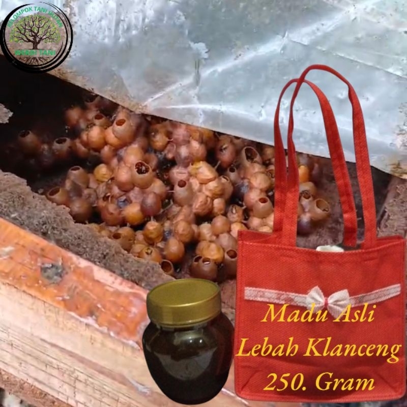 

Madu Asli Lebah Klanceng 250. Gram