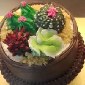 

Kue Ulang Tahun Ultah Black Forest Garden Cream Coklat - Mini Cake